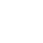 VW Logo